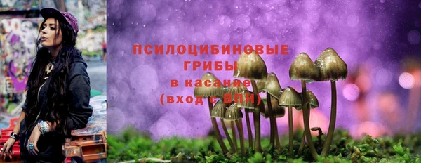 кокс Лабытнанги