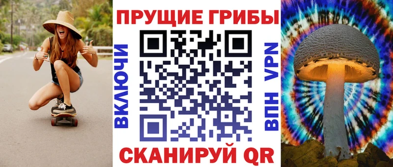 Галлюциногенные грибы Cubensis Хасавюрт
