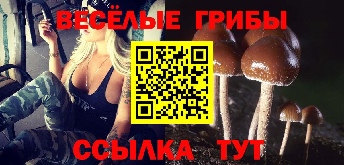 Канабис Хасавюрт