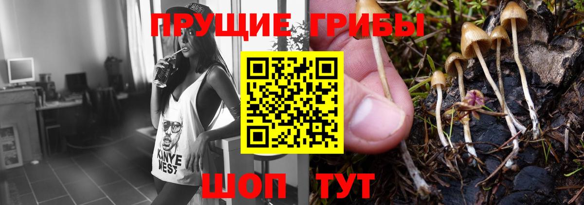 Хасавюрт  A-PVP СОЛЬ   МАРИХУАНА  Cocaine  Вход с VPN  Меф МЯУ МЯУ кристаллы  МАРИХУАНА  ГАШИШ  Меф 