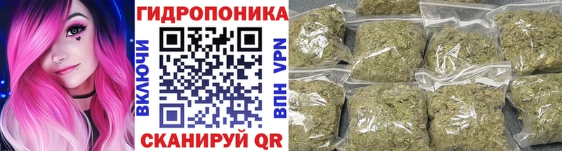 Бошки марихуана план  Хасавюрт 